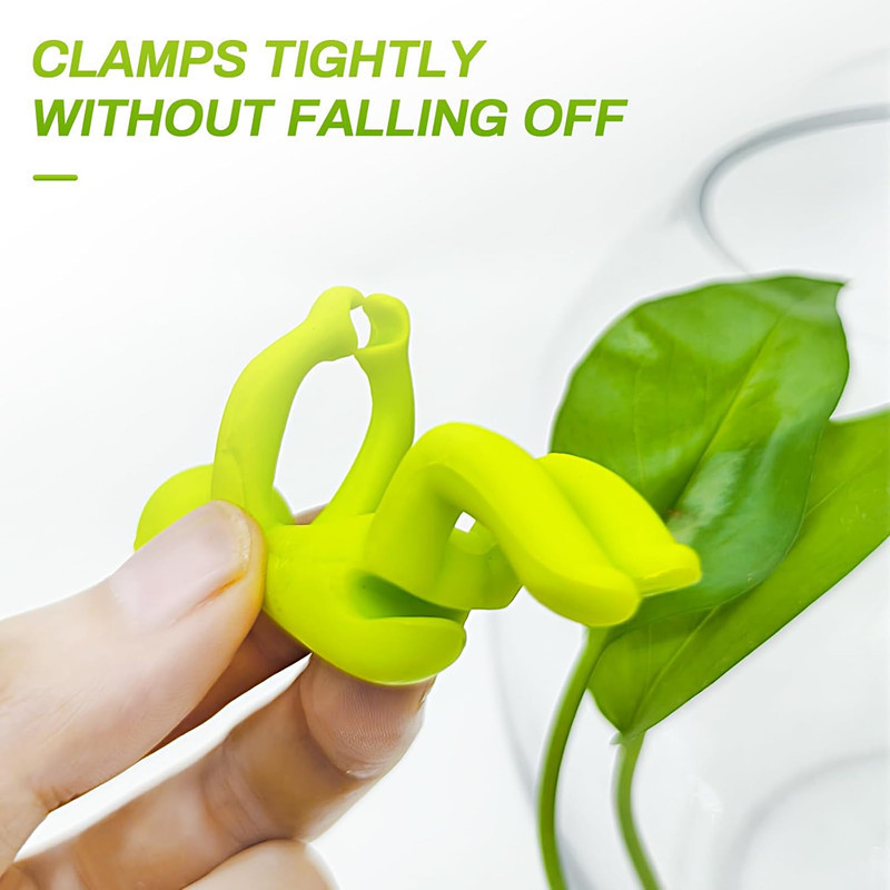 Hydroponische plantenhouder fi - Home Or Office Use recensie en prijs