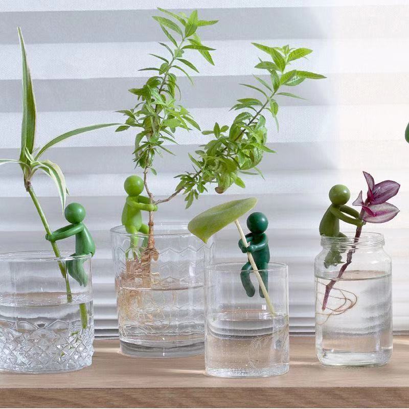 Hydroponische plantenhouder fi - Home Or Office Use recensie en prijs