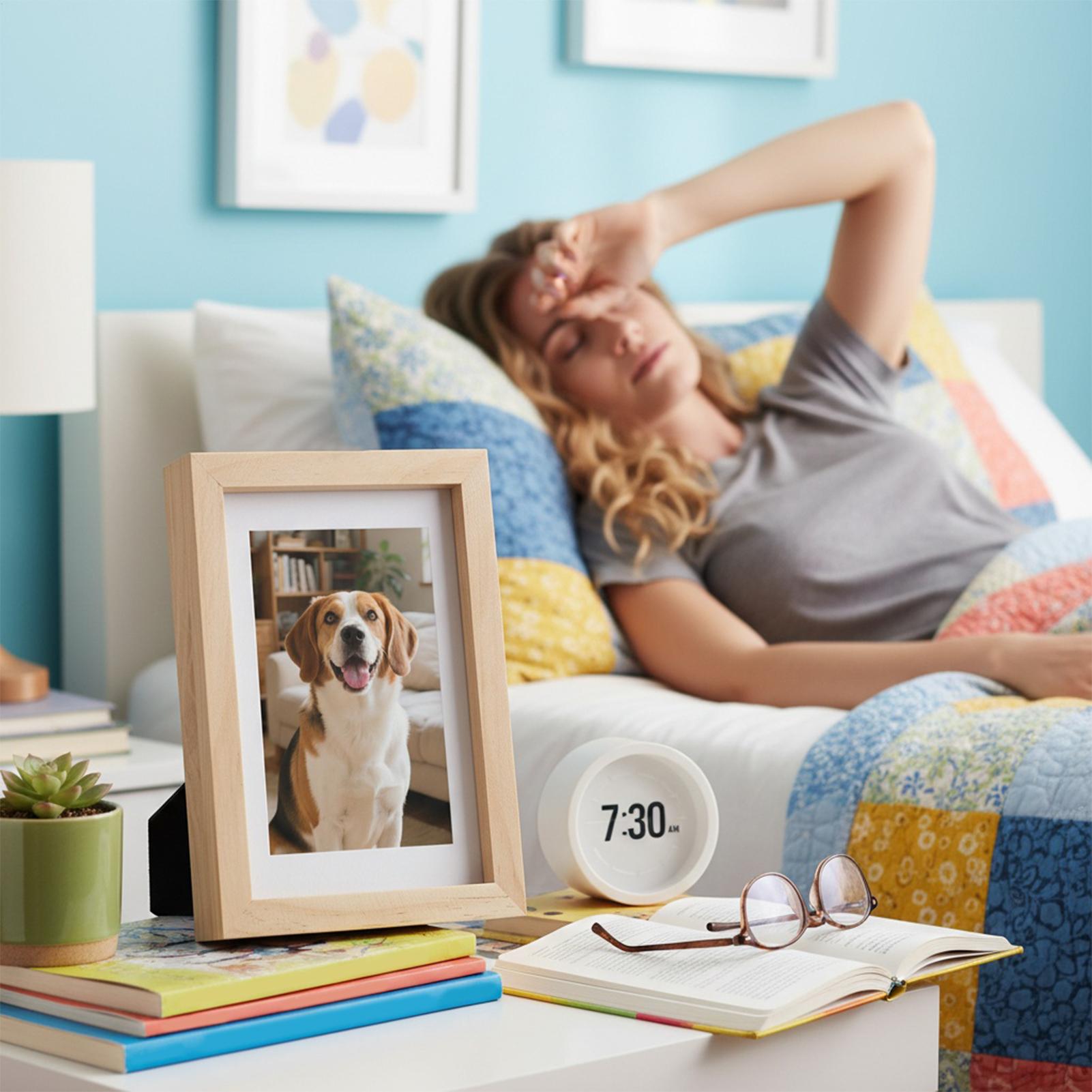 Safe Stash Frame Discrete opsl - Home Office For Passport recensie en prijs